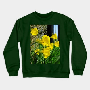 Golden Bells Crewneck Sweatshirt